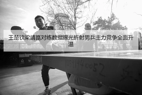 王楚钦梁靖崑对练数据曝光折射男乒主力竞争全面升温